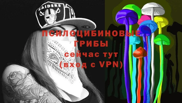 таблы Заводоуковск