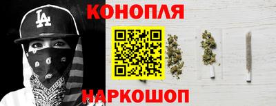 индика Рузаевка