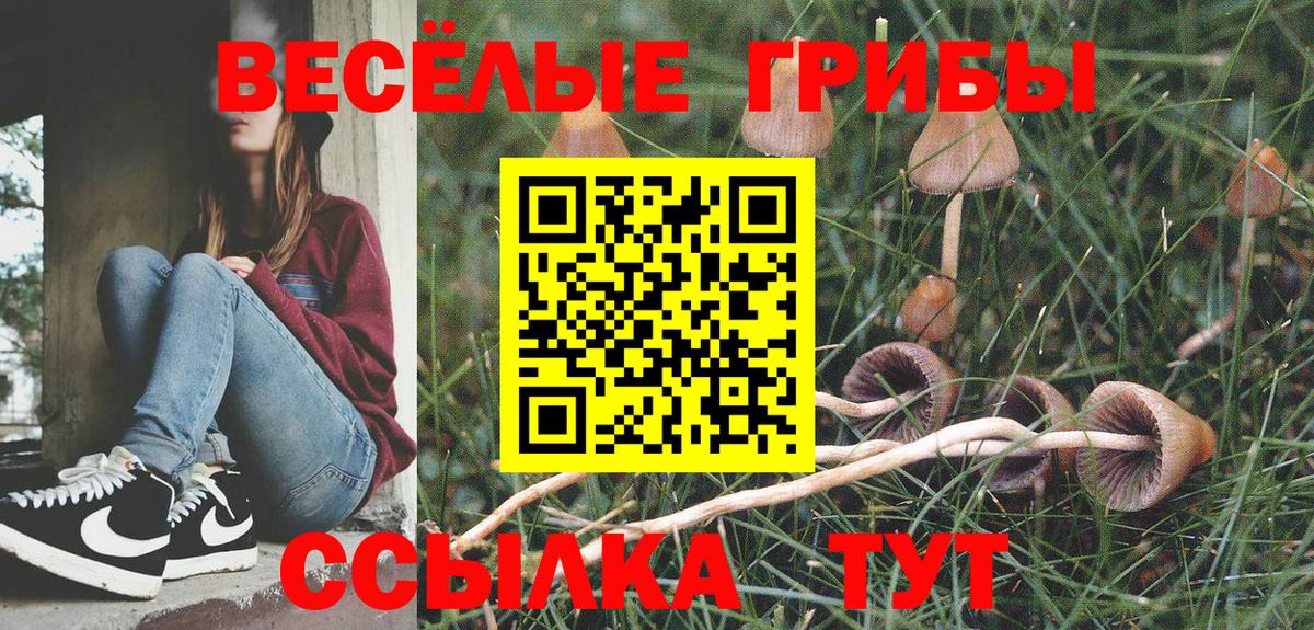 Псилоцибиновые грибы Magic Shrooms Сланцы